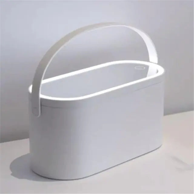 Portable LED Vanity Mirror with Carrying Case